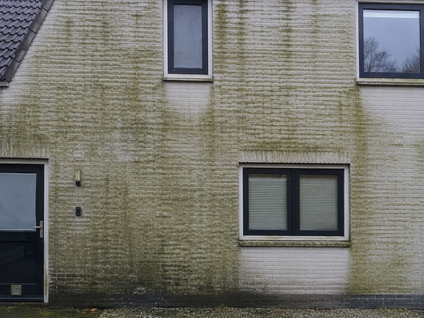 Gevel vóór de softwash-behandeling, met groene aanslag
